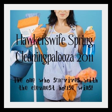 cleaningpalooza1