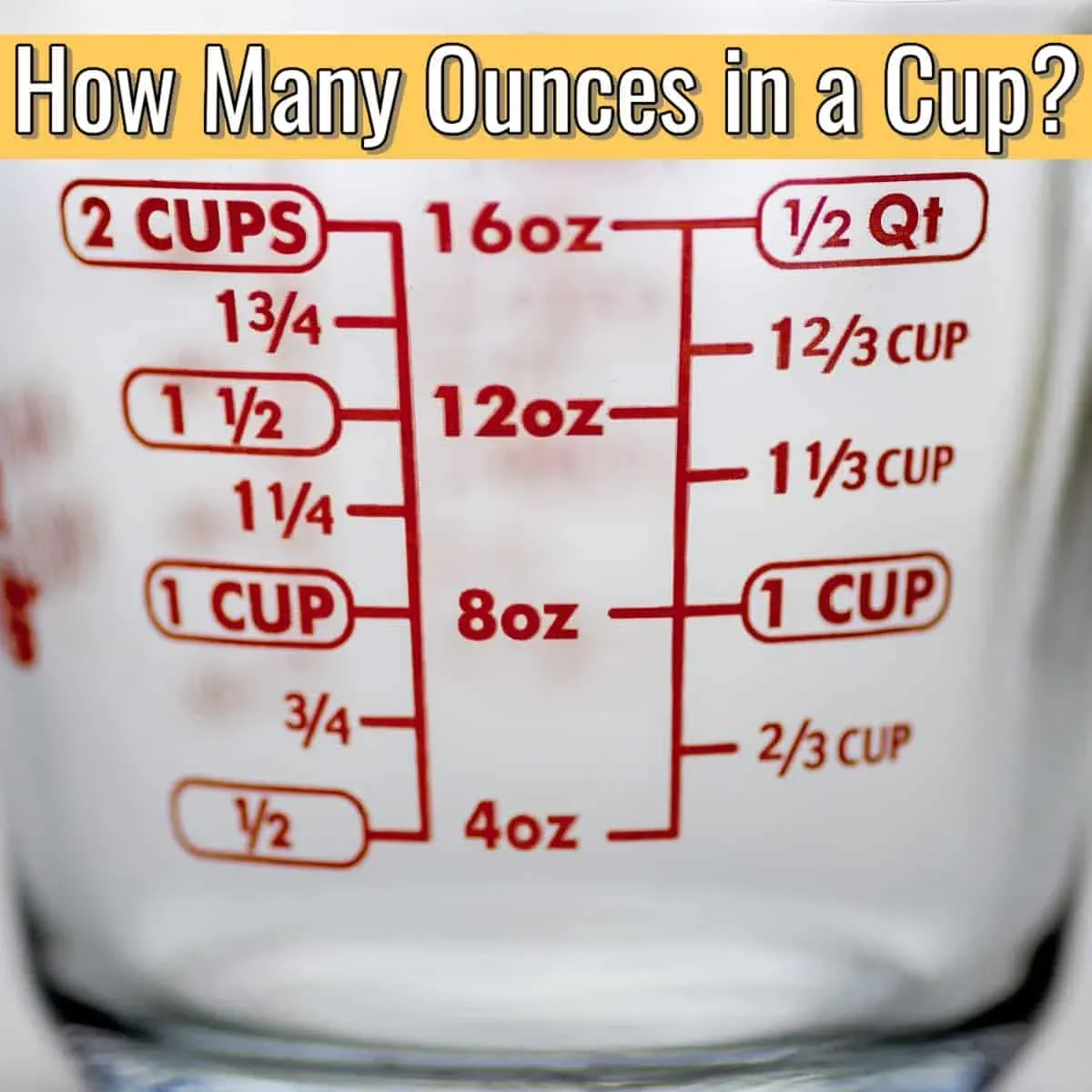 how many ounces
