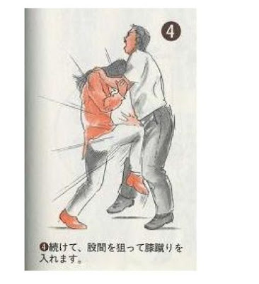 japan 03 Weird Japanese Self Defense