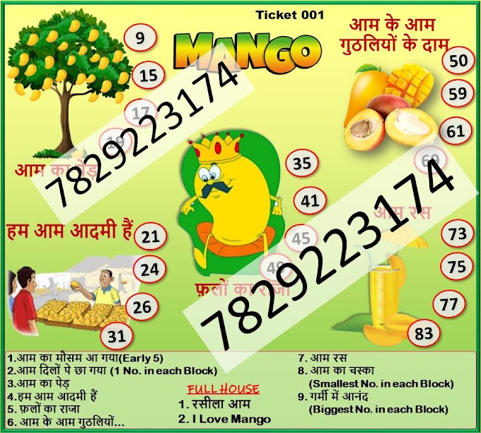 New Mango Tambola Housie Tickets