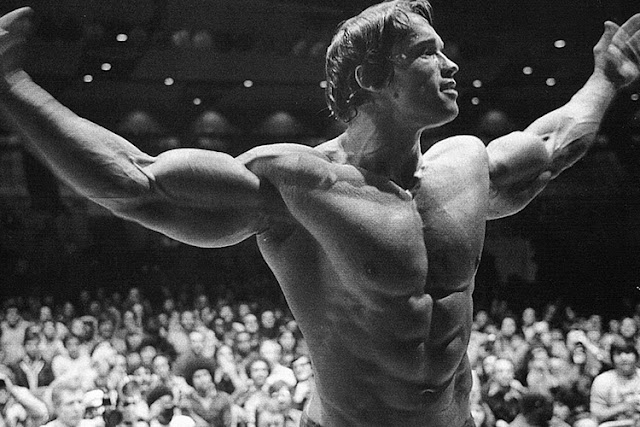 Heavy biceps of Arnold Schwarzenegger