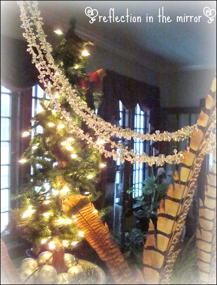 xmas at home 2010 009