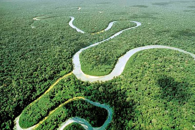 Vista aérea del río y la selva del Amazonas, donde se desarrolla la película Aguirre, la cólera de Dios. Tecnoculturas.com