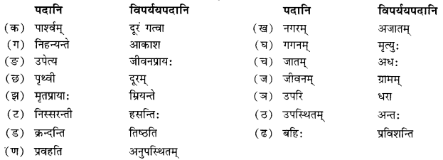 NCERT Solutions for Class 10 Sanskrit Shemushi Chapter 10 भूकंपविभीषिका