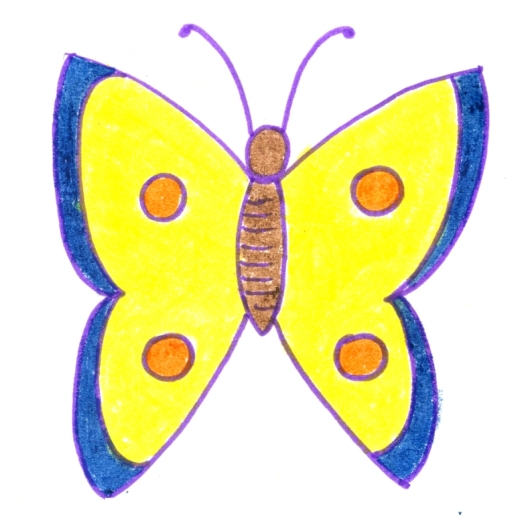 Butterfly Drawing - Butterfly Pic Download - Butterfly Drawing - Butterfly Wallpaper - projapoti pic - NeotericIT.com