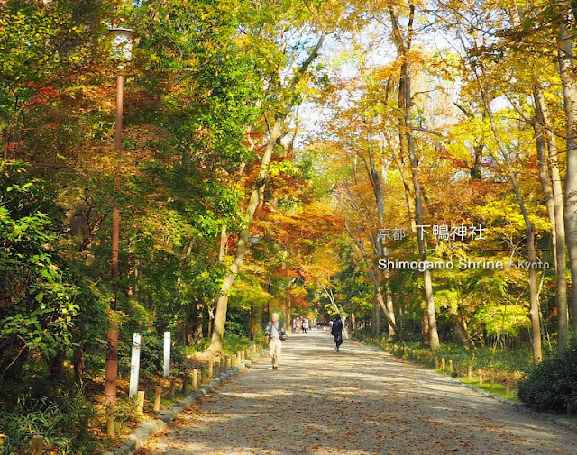 京都 下鴨神社の表参道