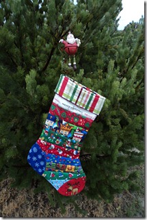 QAYG Stocking 2011