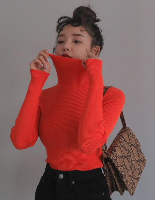 Slim Fit Ribbed Turtleneck Top