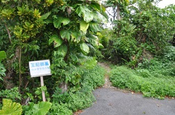 DSC 0479 2