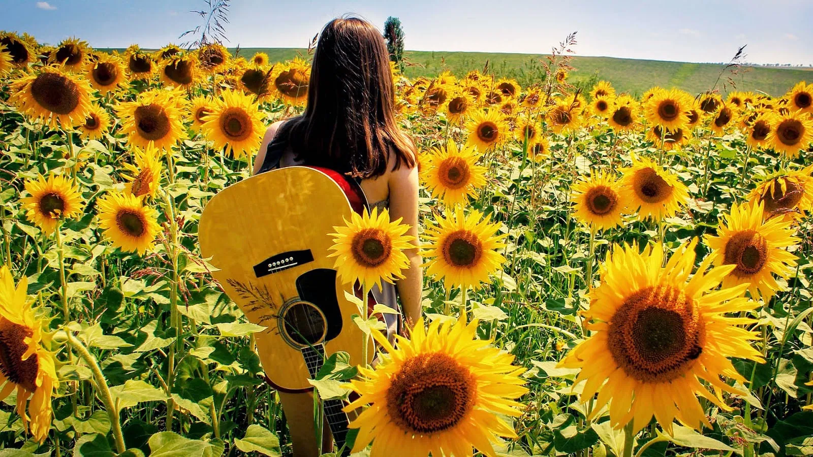 Vrouw met gitaar in een veld vol met zonnebloemen