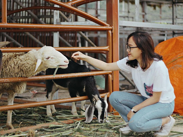 Những phút giây thư giãn hiếm hoi