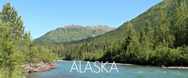 http://www.awayshewentblog.com/2014/07/travel-tuesday-alaska.html