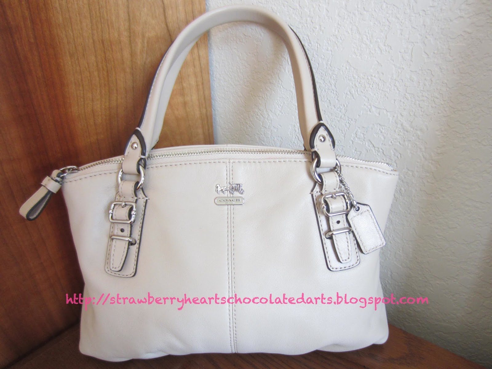 ... and Handbags Haul and Review: Coach, Michael Kors, ALDO, DSW, etc