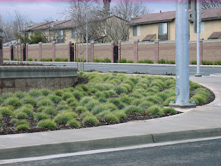 Dewey & Greenback Lane in Citrus Heights