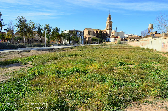 Vinalesa (Valencia).