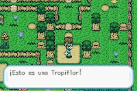 Pokemon Viajes Con Celebi Screenshot 01