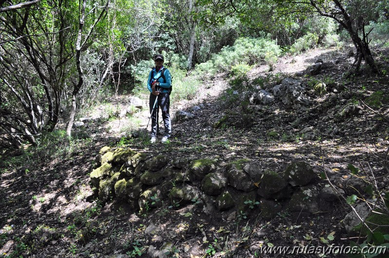 Llanos del Campo - Tesorillo - Cerro del Granadillo - Cerro de las Cuevas - Llanos del Berral