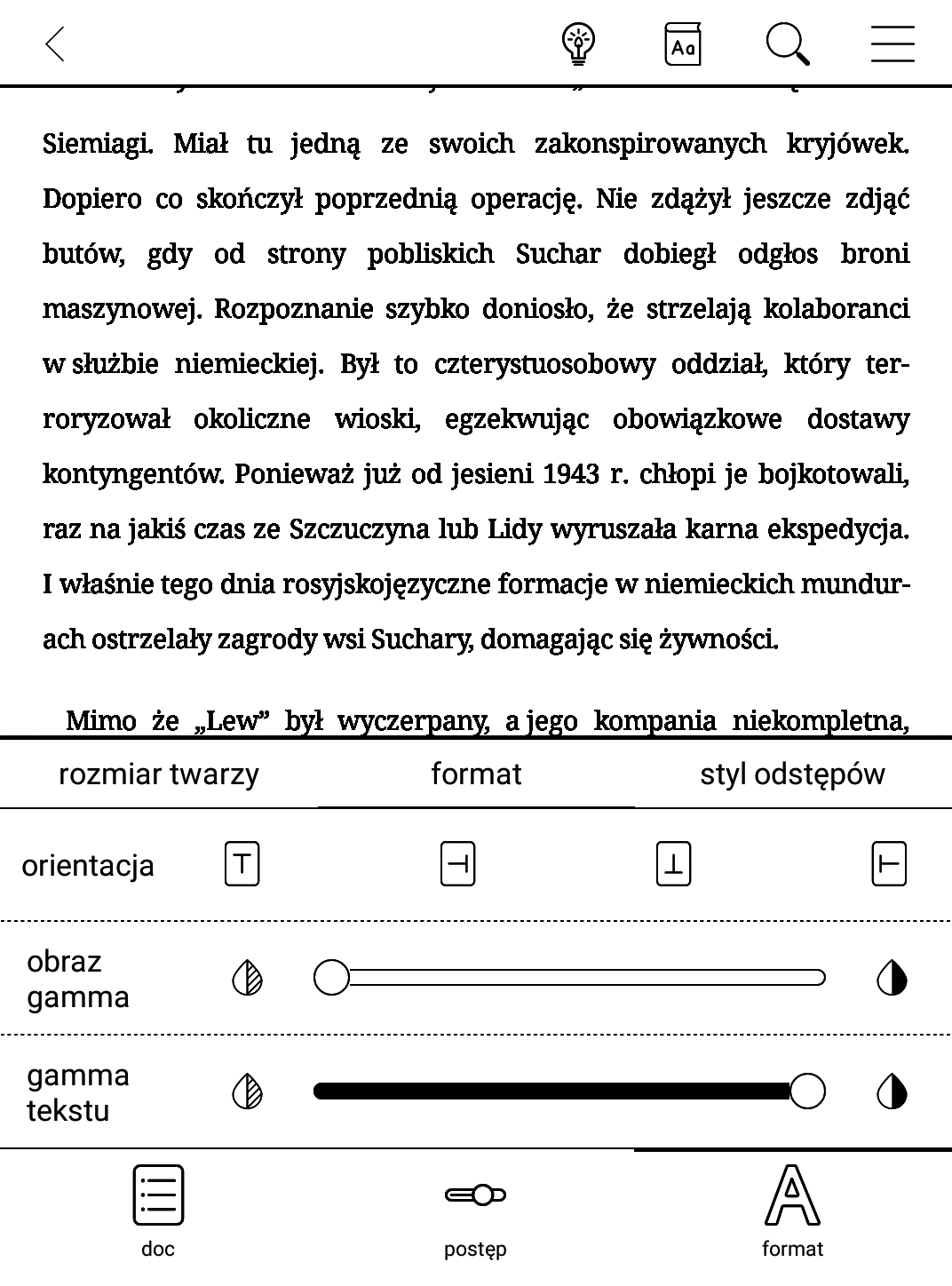 Czytnik Onyx Boox Poke 3 – maksyalna wartość korekcji gamma tekstu