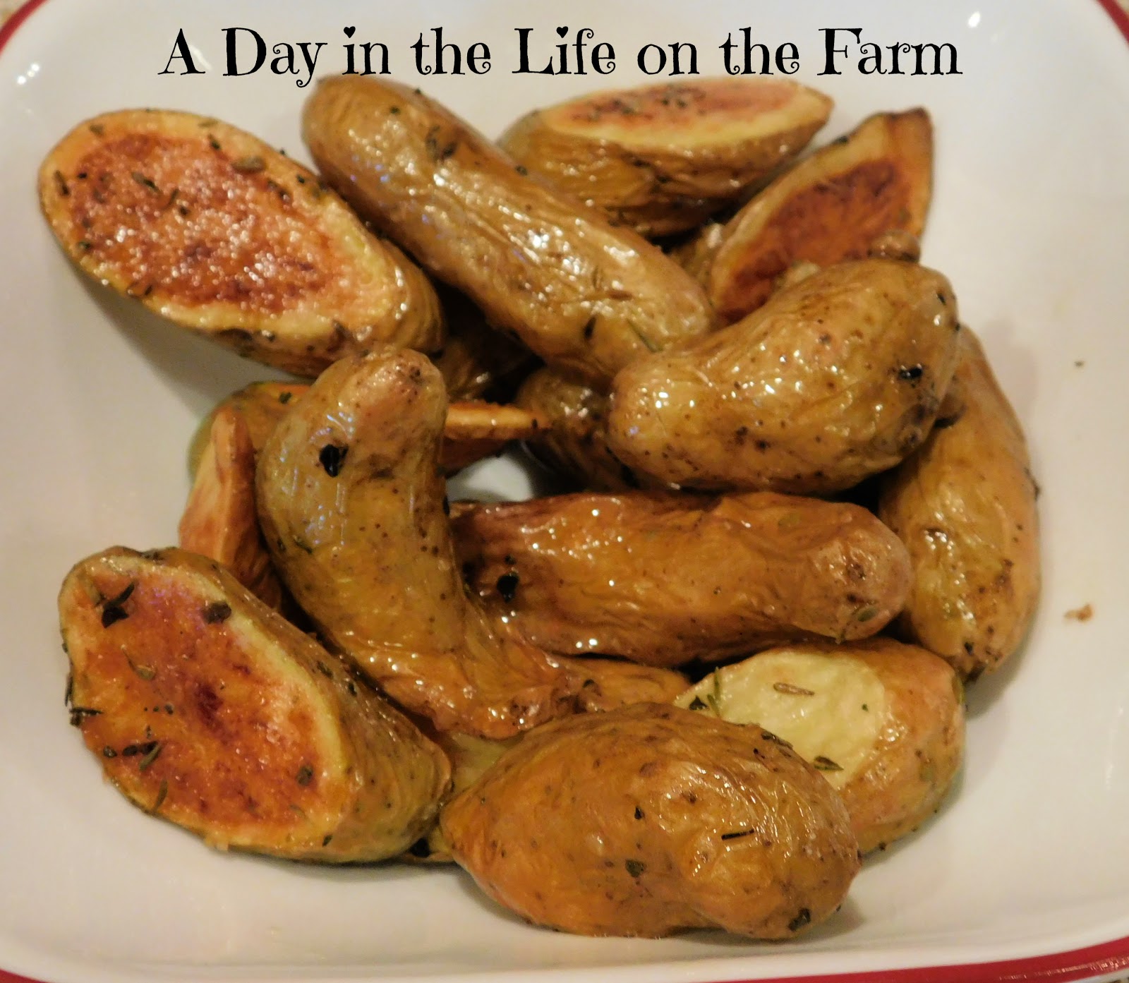 Roasted Fingerling Potatoes with Herbs de Provence