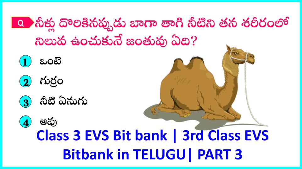Class 3 EVS Bit bank | 3rd Class EVS Bitbank in TELUGU| PART 3