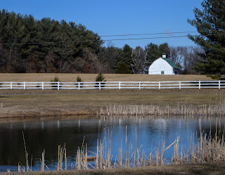 farm scene with pond