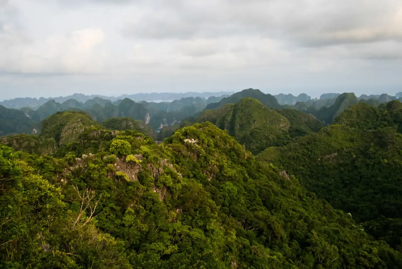 Vietnam: A Timeless Tapestry of Culture and Nature,Vietnam,vietnam currency,vietnam capital,vietnam travel,vietnam map,vietnam language,vietnam flag,vietnam city,vietnam visa for indians,vietnam currency to inr,vietnam visa,vietnam time,vietnam tourism