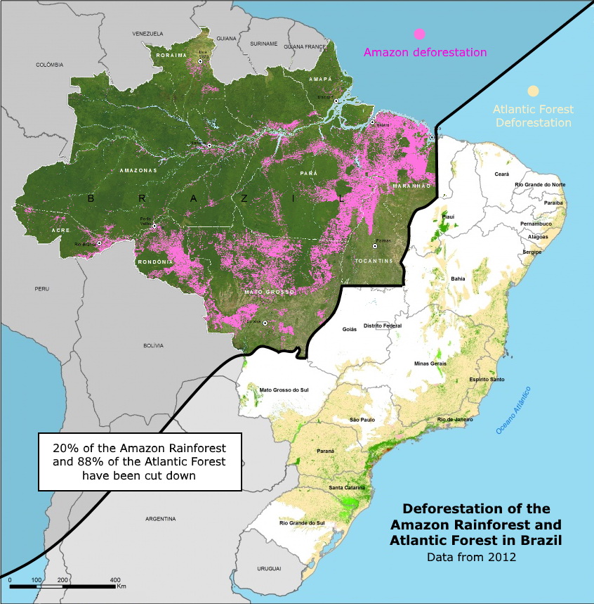 Deforestation Of The Amazon Rainforest And Atlantic Forest In Brazil Vivid Maps