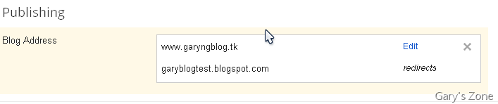 DNS Service 已经生效
