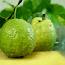 What Are The 10 Benefits of Guava?