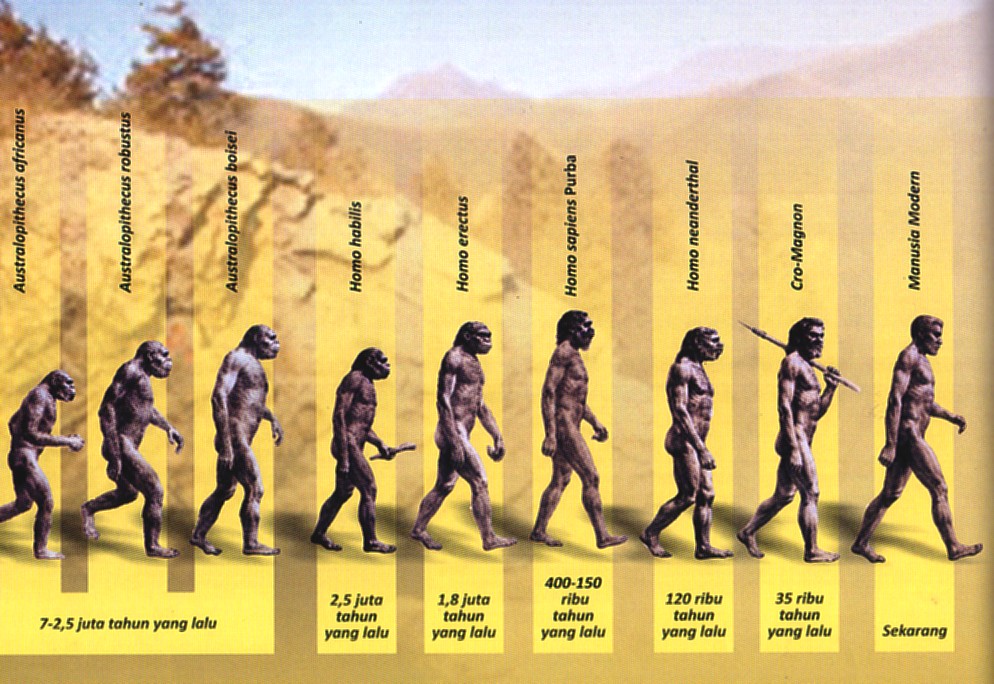 Mathematic: Tentang Manusia Pertama : Teori Darwin Atau 