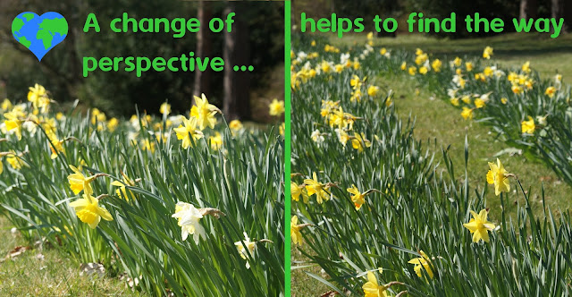 On the left a picture of some flowers; on the right a picture of the same flowers from a higher angle, revealing a way in between the flowers