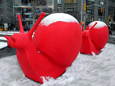 Christmas Snails in the Snow New York City photo image