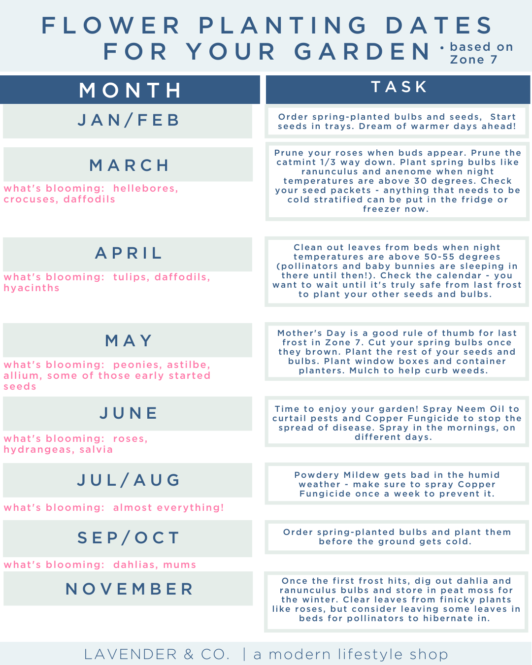 monthly spring planting calendar for zone 7