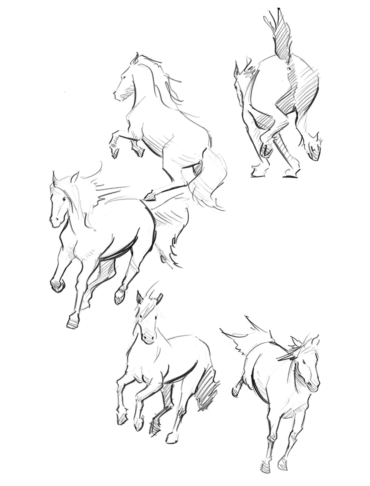 Horse drawing study by fex420 -- Fur Affinity [dot] net