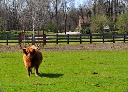 tenuta-del-boscone_gnu