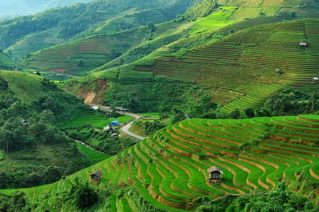 Beautiful Terraced Fields in Vietnam