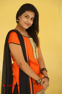 Telugu Actress Chandana Stills in Salwar Kameez at Karam Dosa Movie Press Meet  0007.JPG