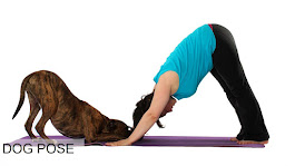 Anti-aging yoga poses | Yoga poses for stop aging