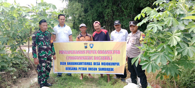 Polisi Sahabat Petani, Panen Raya Berkat Inovasi Pak Bhabin di Kota Mojokerto