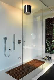 Executive Bathroom Shower And Lightings