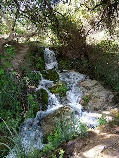 turismo-rural-manantial-la-fuensanta-el-burgo-malaga