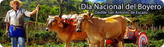 dia boyero
