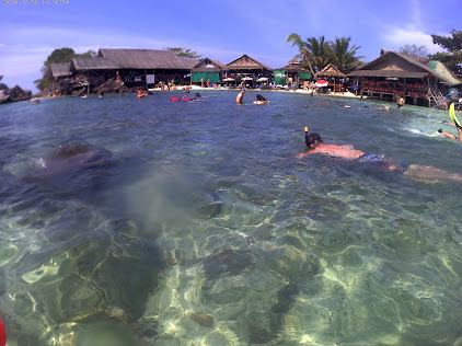 Snorkeling at Coral Island