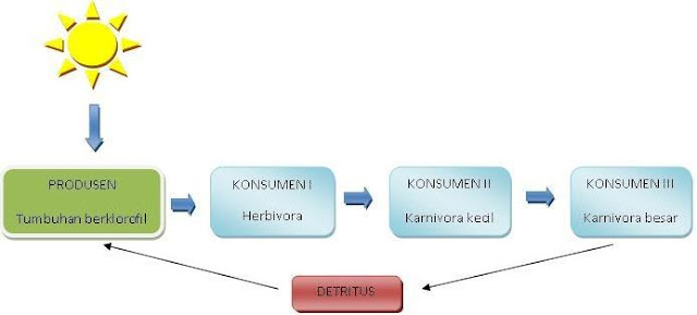 Komponen Penyusun Ekosistem