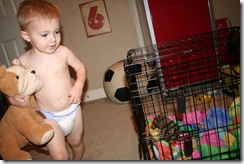 1st half Puppy Day 014