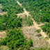 Pembatasan Lahan Hutan Dilanjutkan