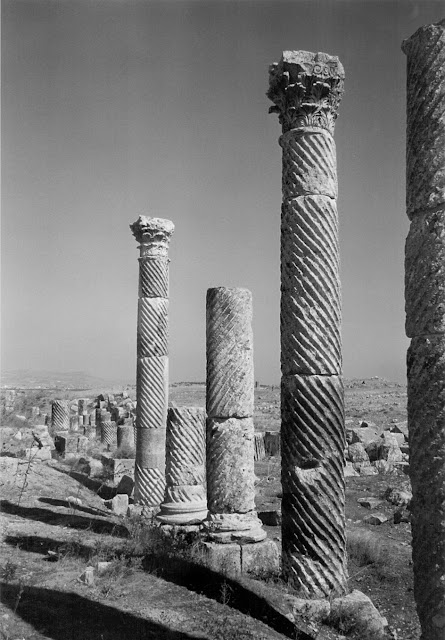 Apamea. Agorà