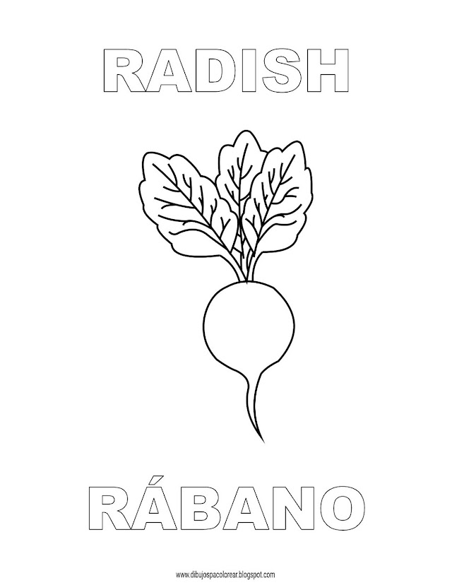 Dibujos Inglés - Español con R: Rábano - Radish