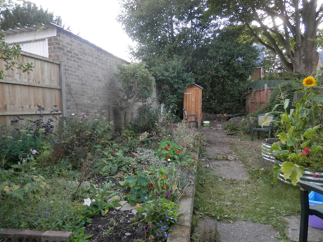 Diary of a suburban edible garden, July 2017. By UK garden blogger secondhandsusie.blogspot.com #permaculture #suburbanpermaculture #organicgarden #raisedbeds #growyourown #ukgardenblogger