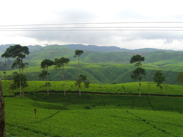 Lukisan Pemandangan Indah di Desa atau Kampung